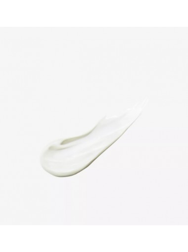 [2024全新版] SUQQU Protecting day cream SPF 50+ 30g